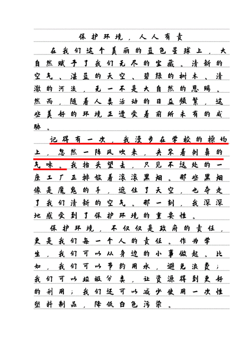 环境之类的作文