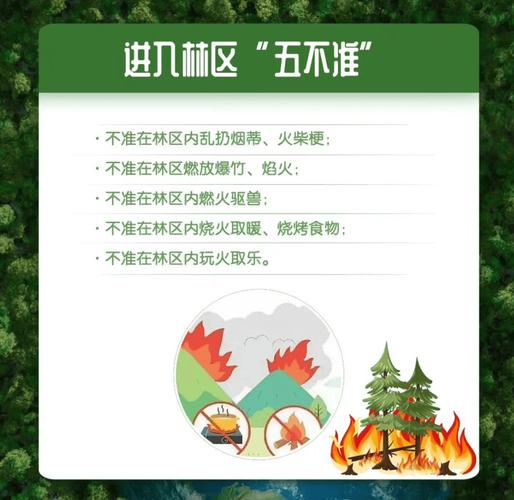 林区防火安全教育