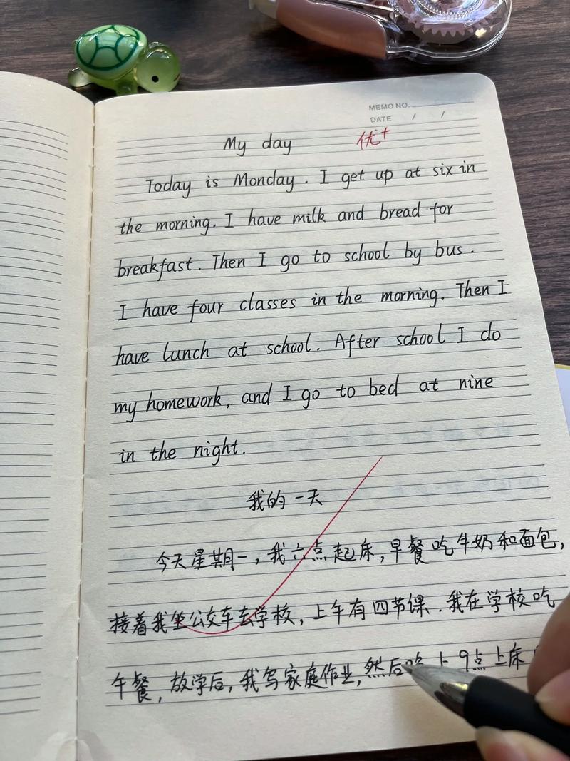 英语展示小作文