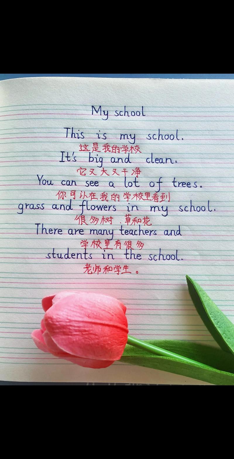 英语展示小作文