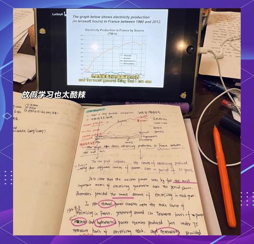 雅思作文实践课