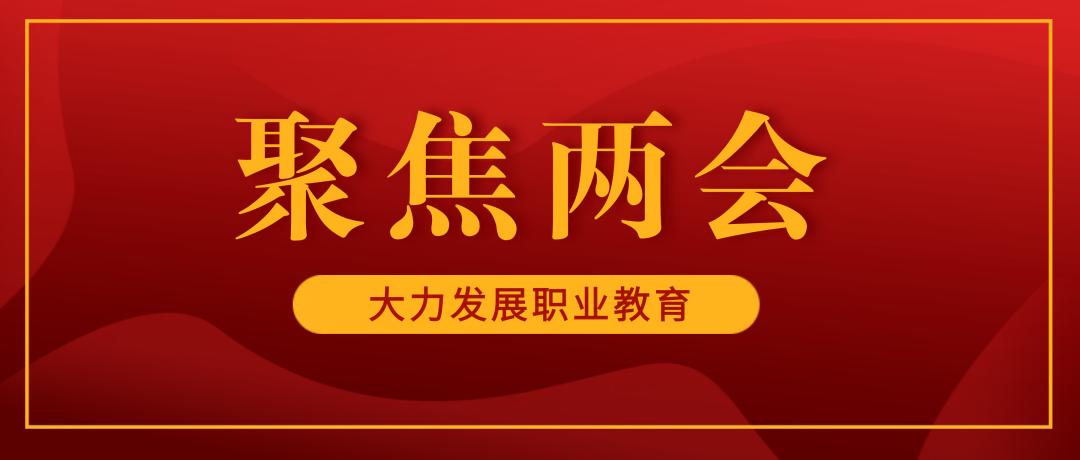 两会对职业教育的政策