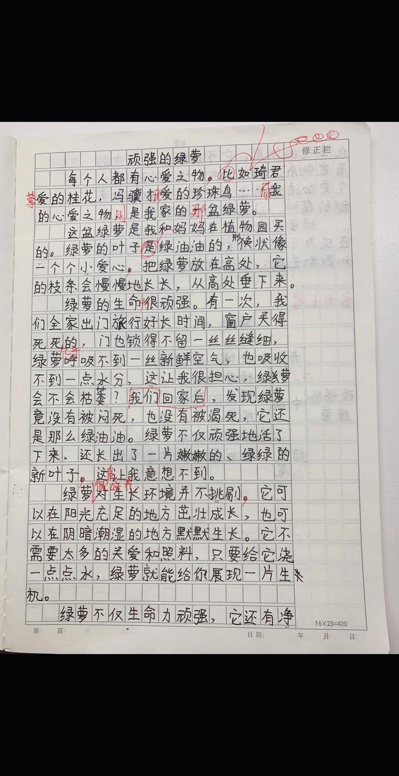 水泥的种类作文