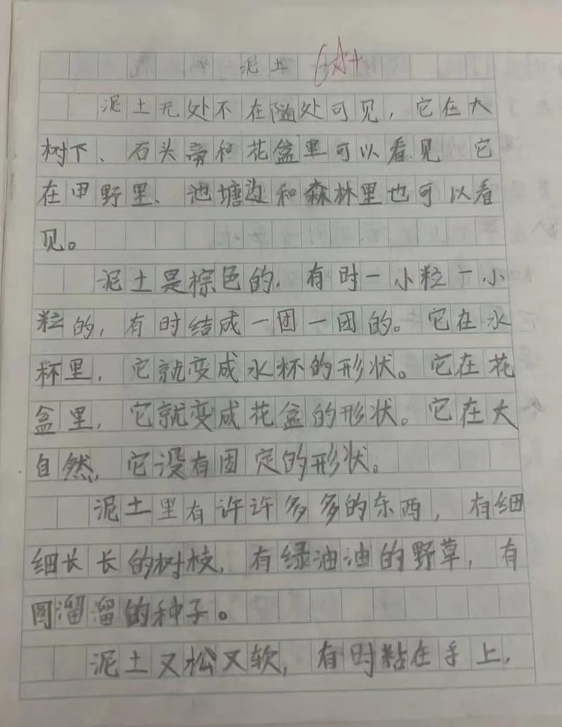 水泥的种类作文