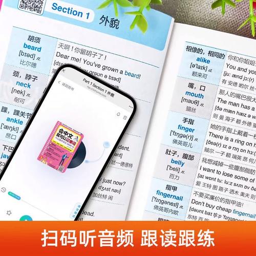 成人如何自学英语口语