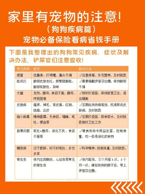 给宠物看病的基本常识