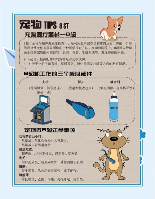给宠物看病的基本常识