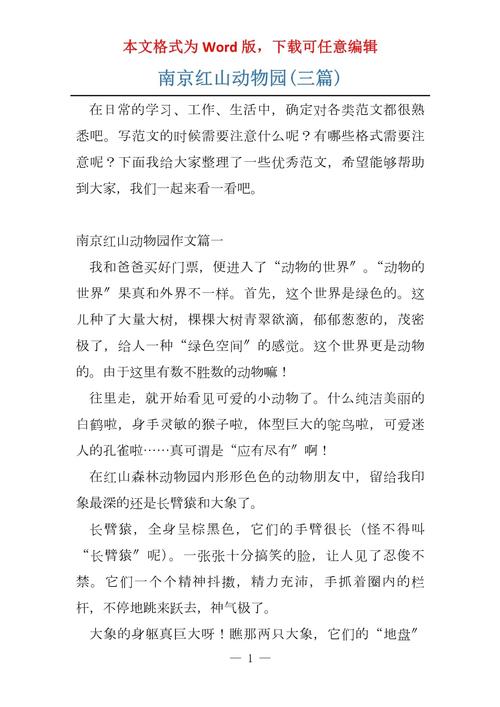 去南京游学作文