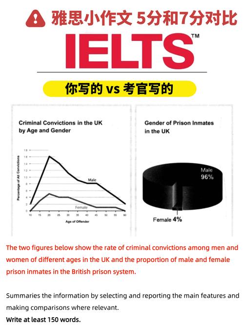 雅思作文混合图