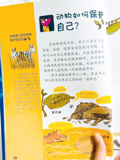 4岁宝宝该知道哪些常识