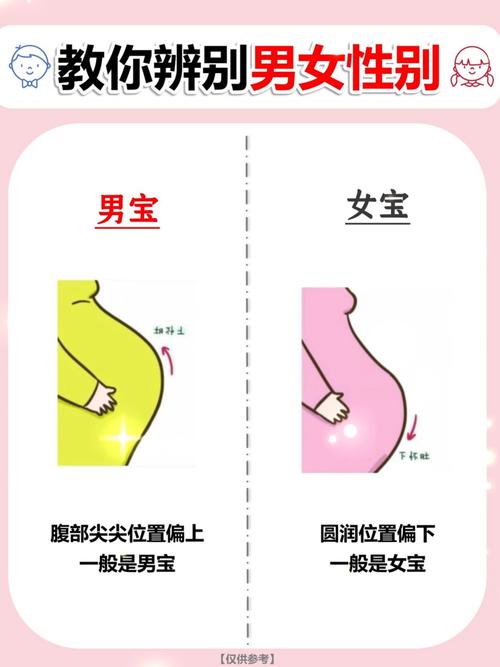 20周有常识看男女吗