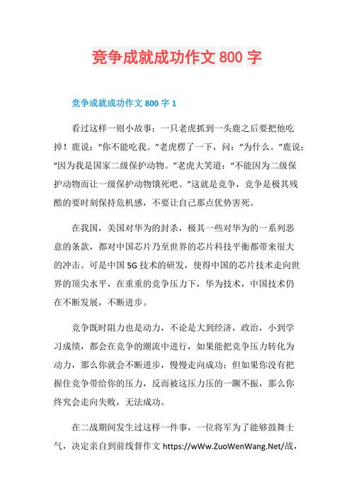 竞争的作文范文