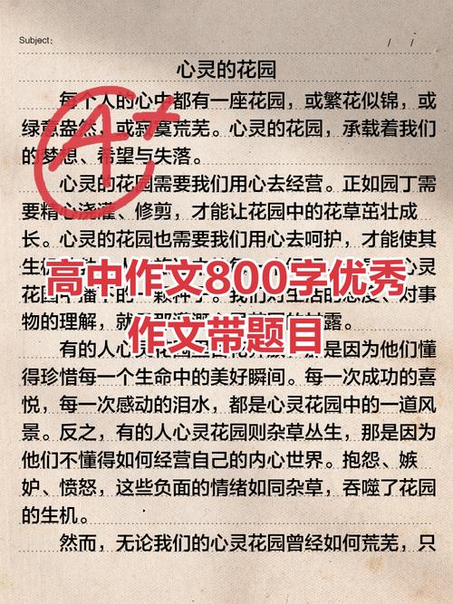 高中组获奖作文