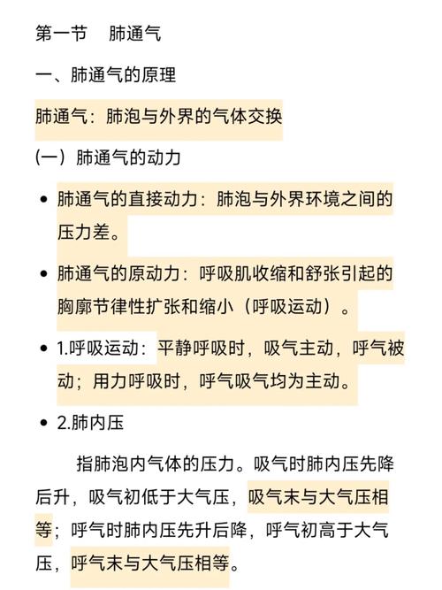 呼吸方面的生理学常识