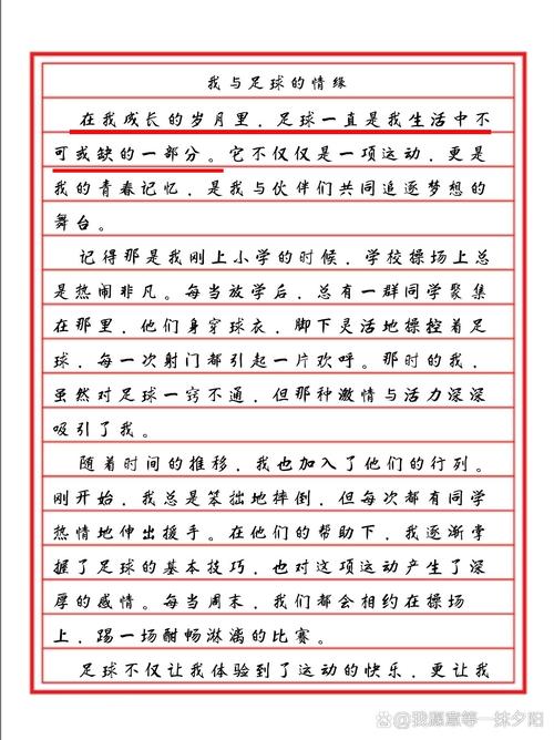 足球的口语会话，足球口语交际
