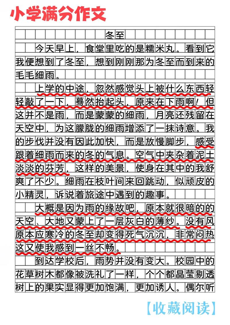 南方冬至作文素材,南方冬至作文素材大全