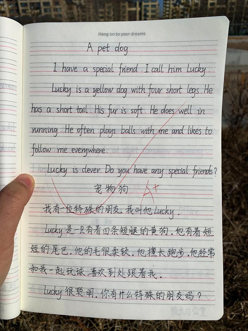 我的宠物英文作文，我的宠物英文作文40字