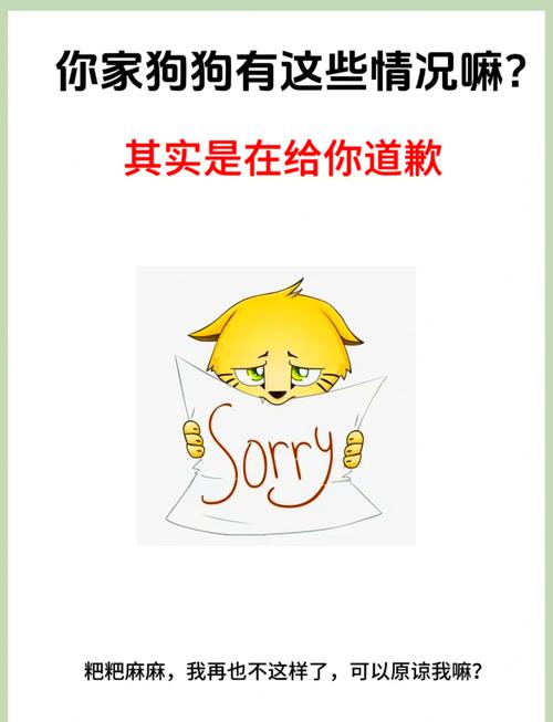 口语接受道歉，口语接受道歉怎么说