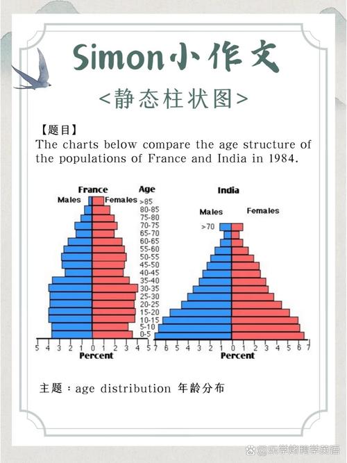 柱状图 作文，柱状图作文万能模板