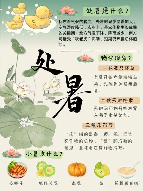 处暑养生六个小常识