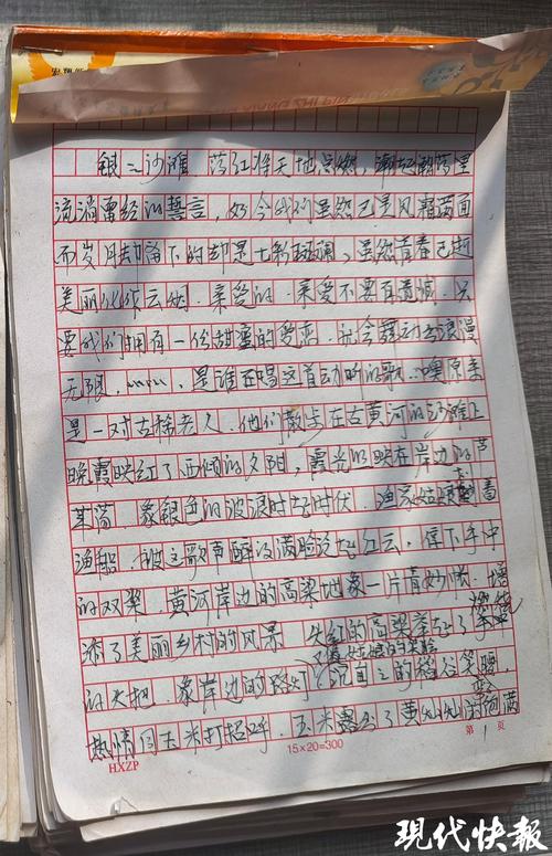 老人退休后作文