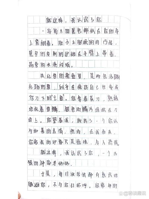 多邻国看图作文