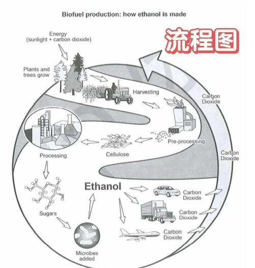 雅思作文的架构