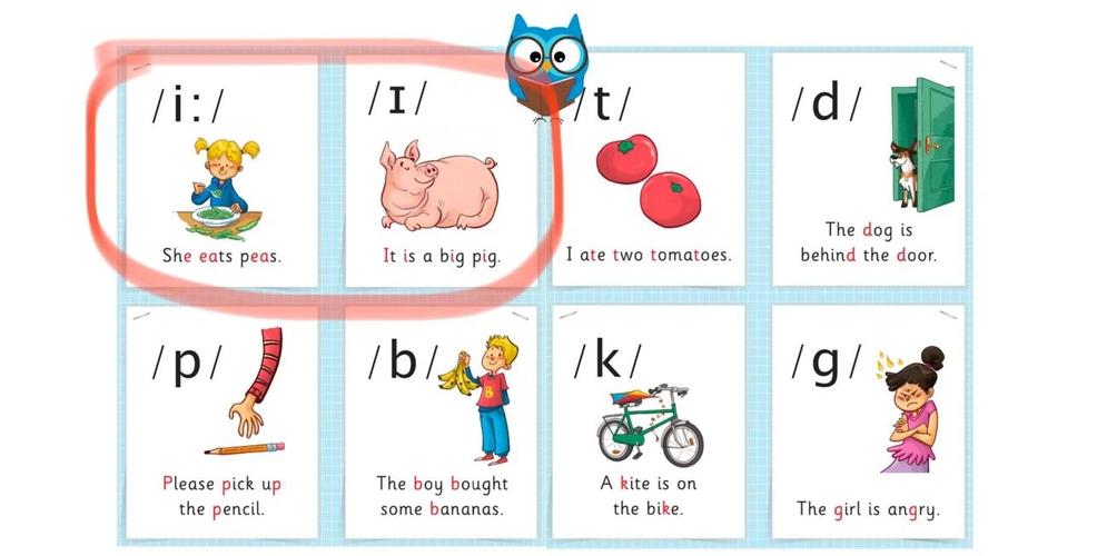 p.u.口语，口语pwp