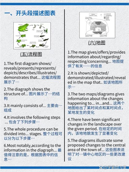 雅思作文的分类,雅思作文的分类有哪些