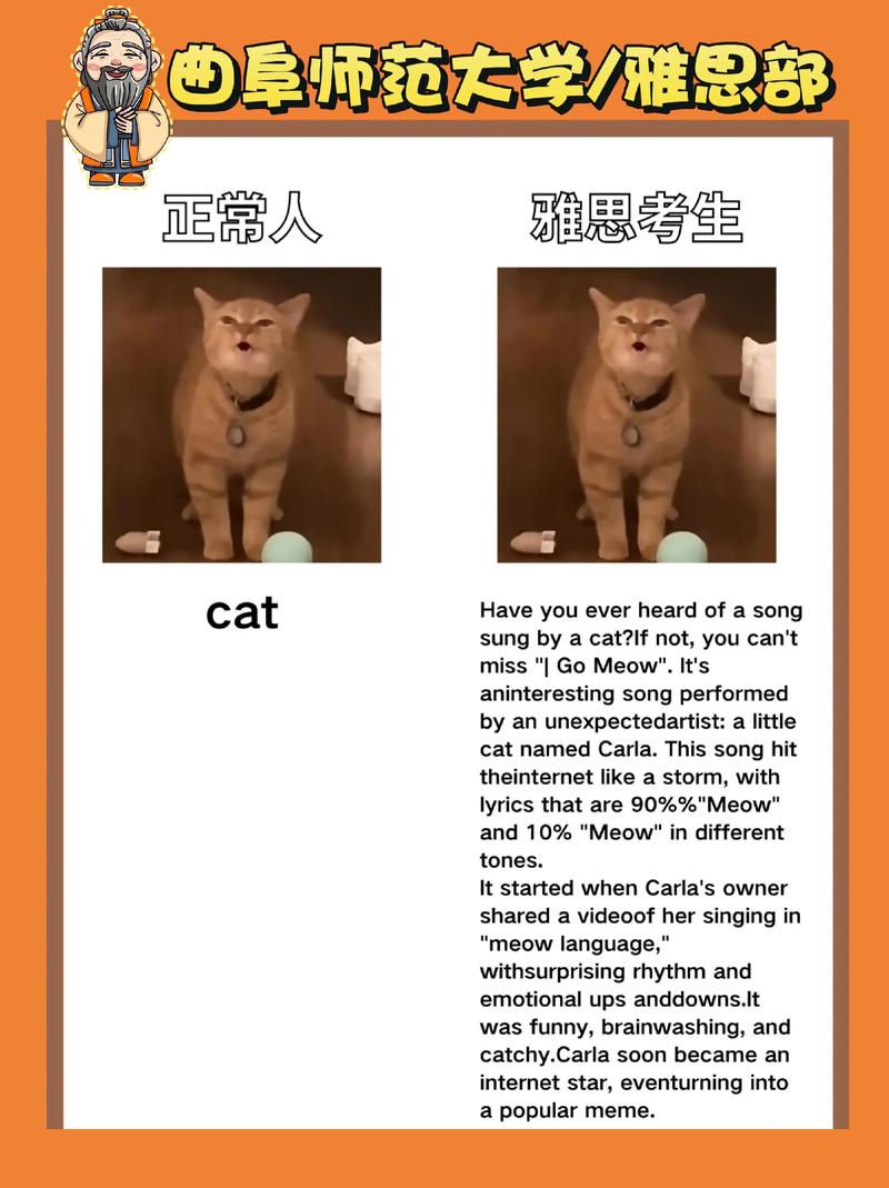 雅思口语话题卡，雅思口语考试话题卡