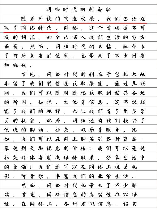 正确使用网词汇作文，应如何使用网络词语在作文上