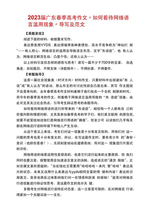 正确使用网词汇作文，应如何使用网络词语在作文上