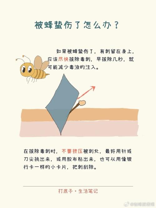 蜂蜇伤急救常识图片
