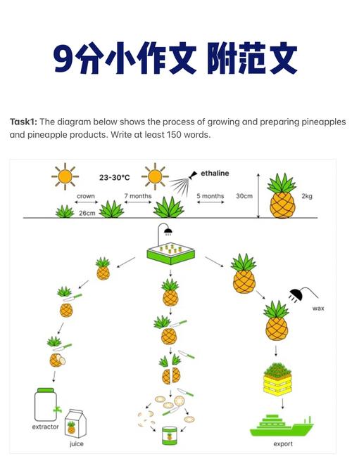 流程图 雅思作文，流程图雅思作文