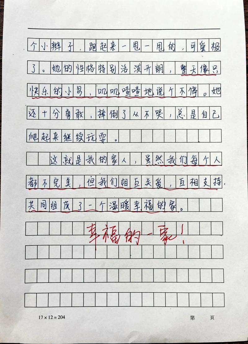 家庭专四作文,家庭专四作文怎么写