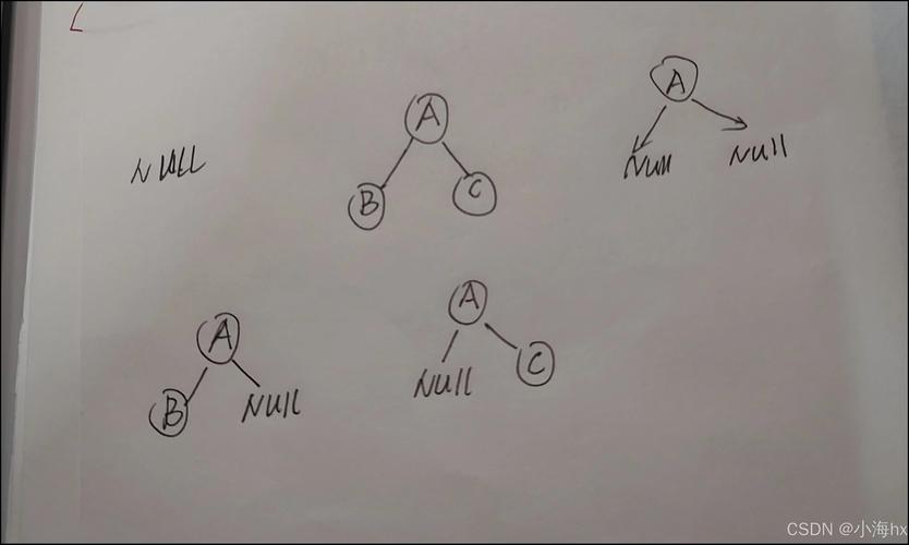 口语结构树,口语表达的结构