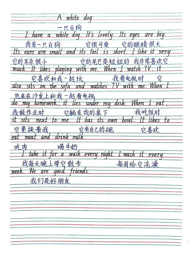 英语作文该怎么写，英语作文该怎么写零基础