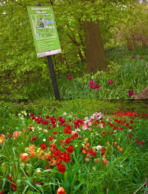 雅思口语garden park，雅思口语garden