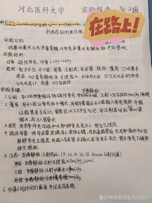研究医药的作文，研究医药的作文800字