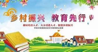 农村义务教育政策研究