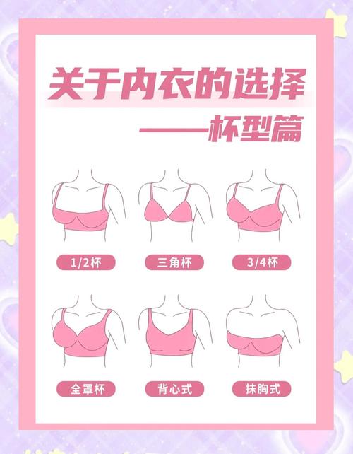 女性内衣基本常识