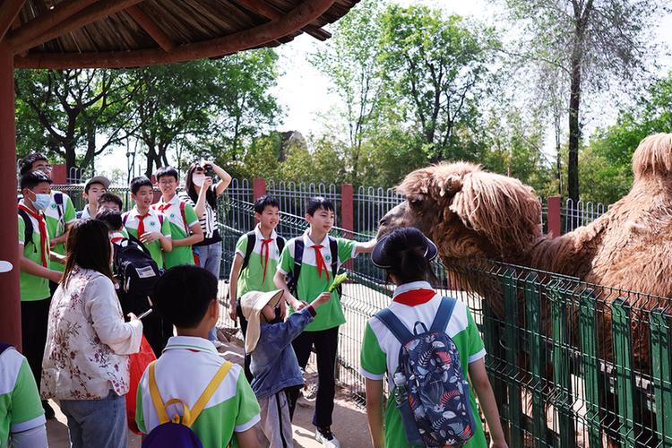 西安雁塔区作文培训班，西安雁塔区作文培训班有哪些