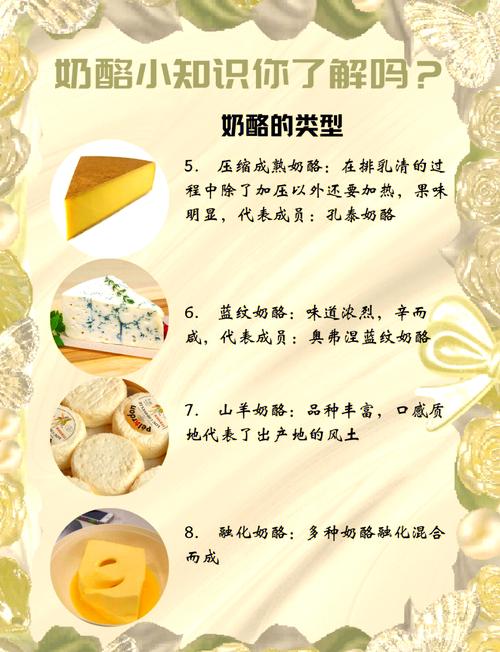 cheese在口语中，cheese口语什么意思