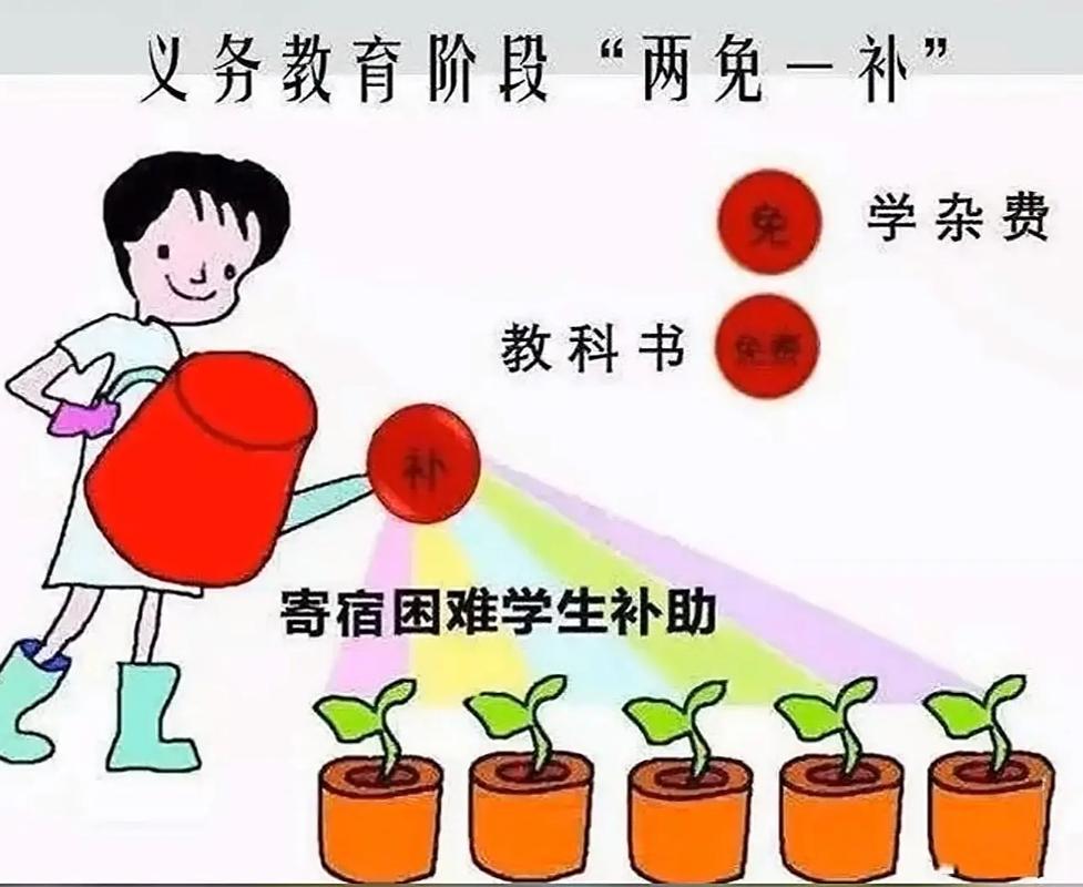 我国义务教育新政策