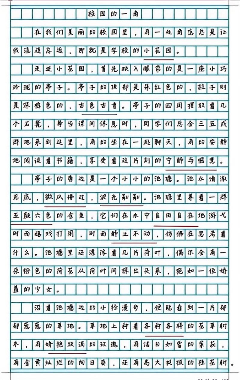 作文学校的转折,作文学校的转折点怎么写