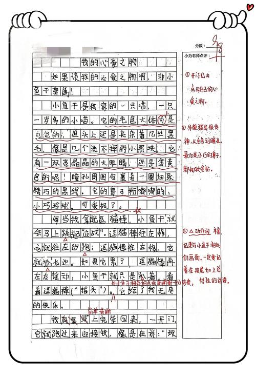 description作文范文，description 作文