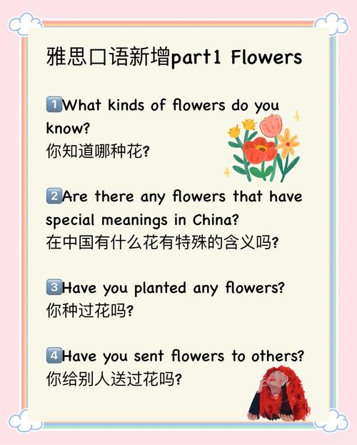 雅思口语括号,雅思口语是啥意思