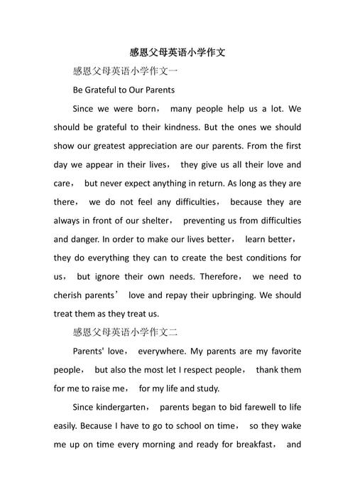 关于养老的英文作文,关于养老的英文作文80词