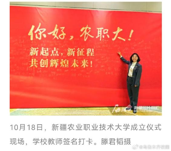 新疆加强职业教育的政策