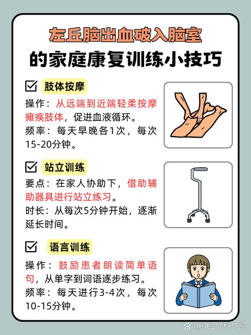 康复训练常识课程